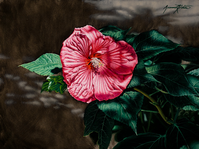 A still life oil painting of a live pink hibiscus with green leaves.