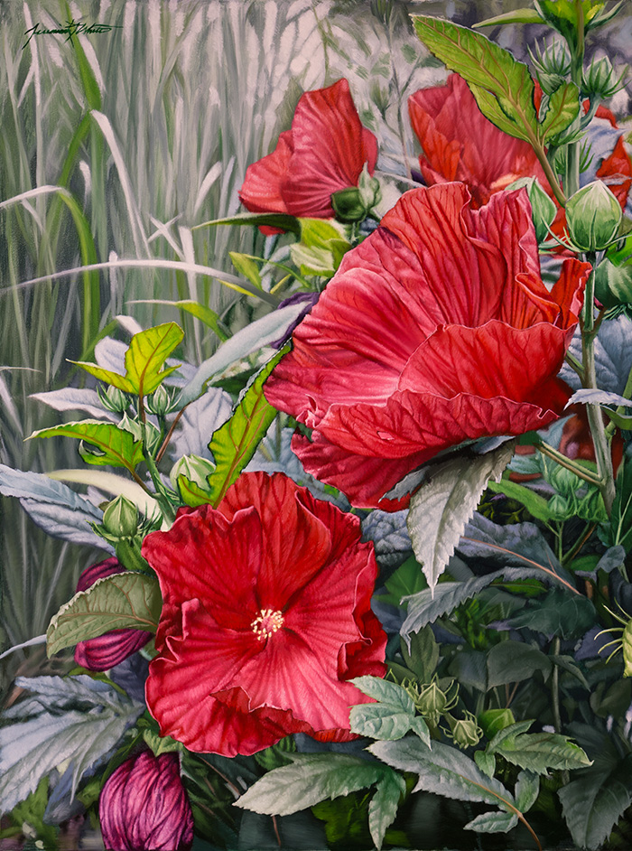 A still life painting of red and violet hibiscus flowers in a garden in Washington Park, Denver.